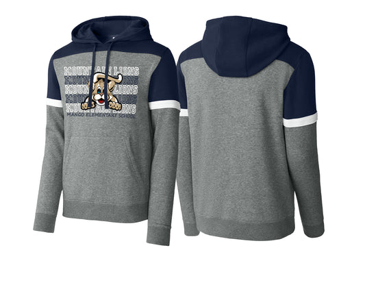 Adult Colorblock Hoodie